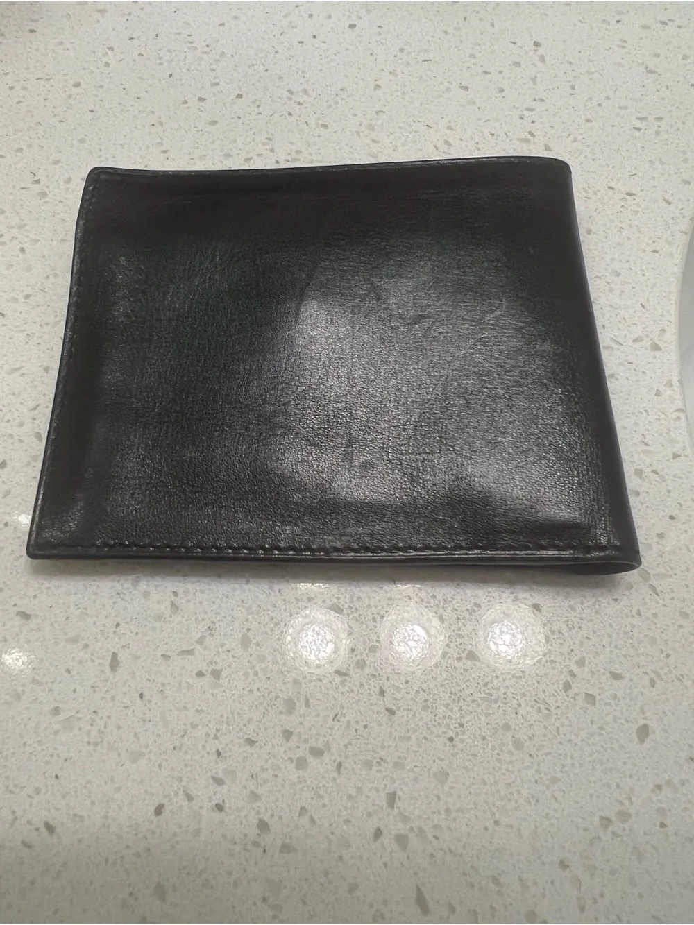 Vintage Celine Triomphe Bifold Wallet with Gold Corner Hardware